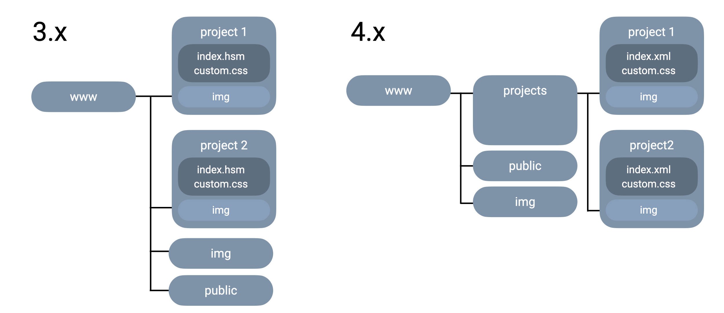 www structure