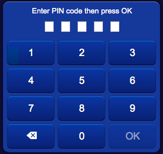 User Auth Pin